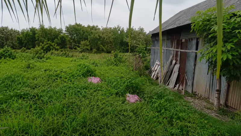 Dijual Tanah Strategis - Mojokerto